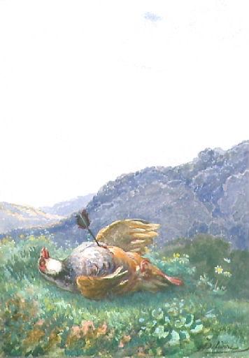L'Oiseau blessé d'une flèche, II, 6_0