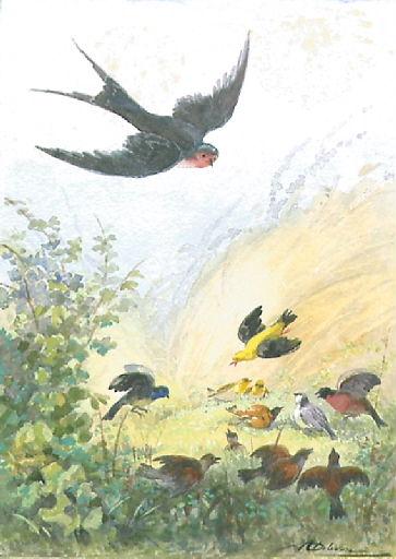 L'Hirondelle et les petits Oiseaux, I, 18_0