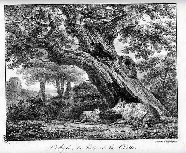 L'Aigle, la Laie et la Chatte, III, 6_1