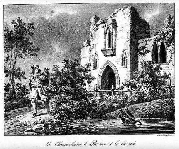 La Chauve-Souris, le Buisson et le Canard, XII, 7_1