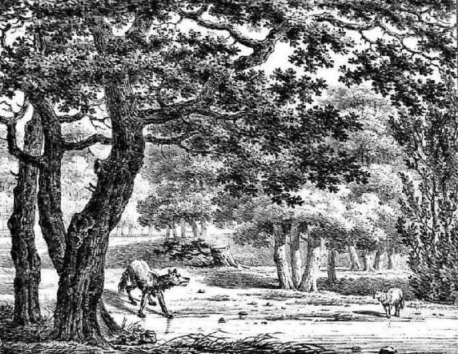 Le Loup et l'Agneau, I, 10_0