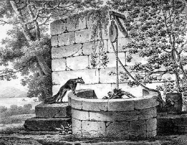 Le Renard et le Bouc, III, 5_0
