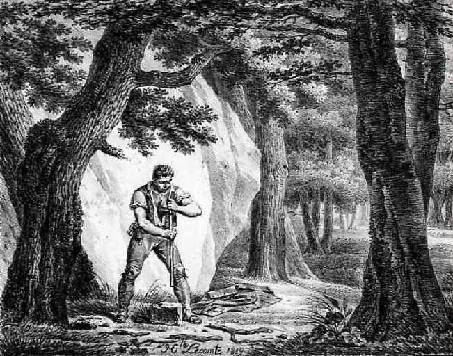 La Forêt et le Bûcheron, XII, 16_0