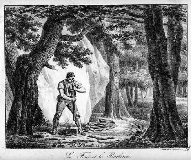 La Forêt et le Bûcheron, XII, 16_1