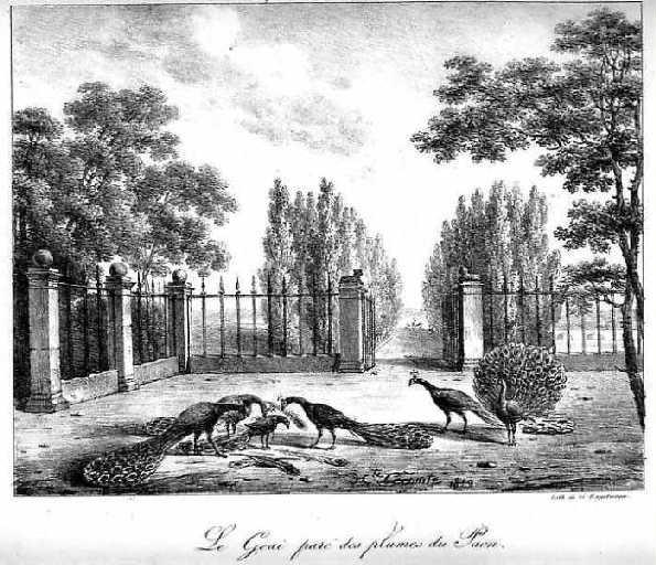 Le Geai paré des Plumes du Paon, IV, 9_1