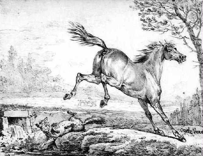 Le Cheval et le Loup, V, 8_0