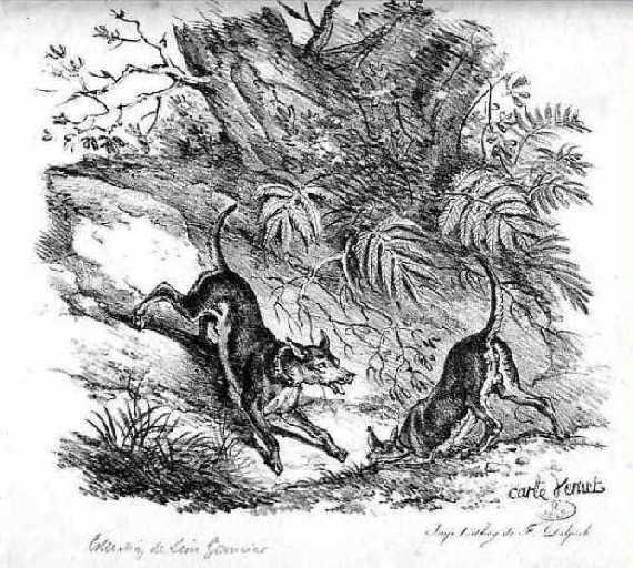 Les deux Chiens et l'Ane mort, VIII, 25_0