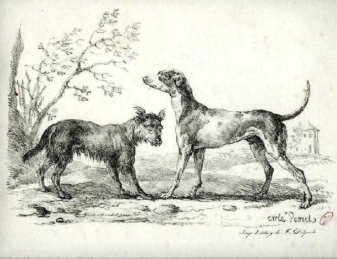 Le Loup et le Chien, I, 5_0