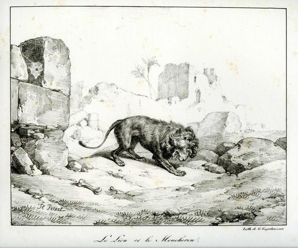 Le Lion et le Moucheron, III, 13_0