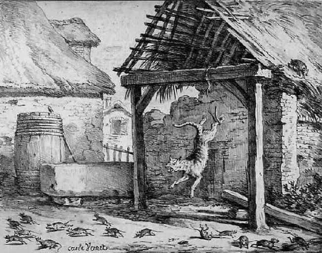 Le Chat et un vieux Rat (livre III fable 18)_0
