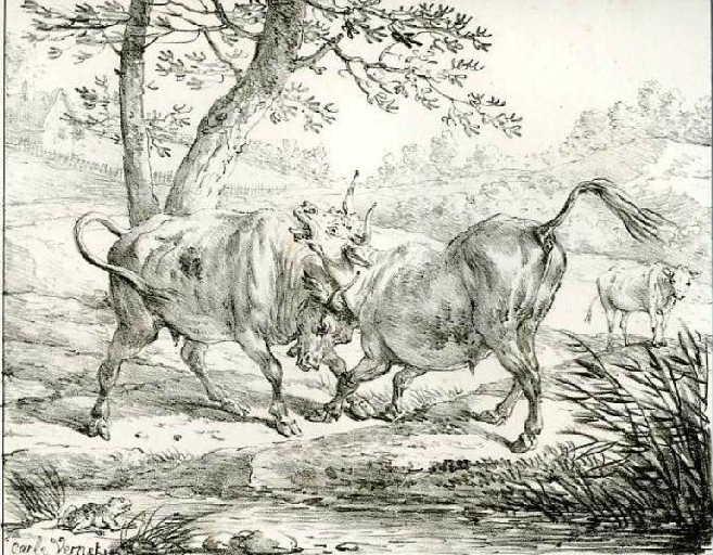 Les deux Taureaux et une Grenouille, II, 4_0