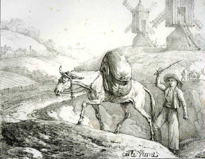 Le Mulet se vantant de sa généalogie,VI, 7_0