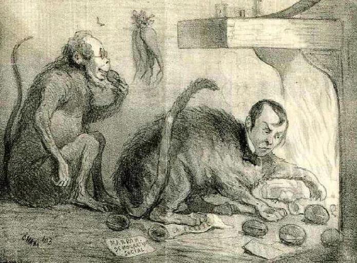 Croquis du Jour ; Le Singe et le Chat, IX, 17_0