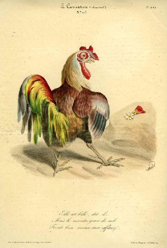 Le Coq et la Perle, I, 20_0