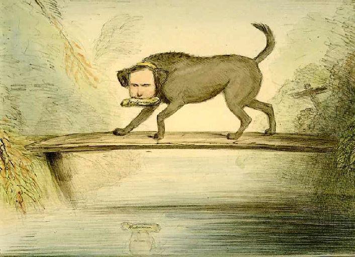 The Dog and the Shadow ; Le Chien qui lâche sa proie pour l'ombre, VI, 17_0