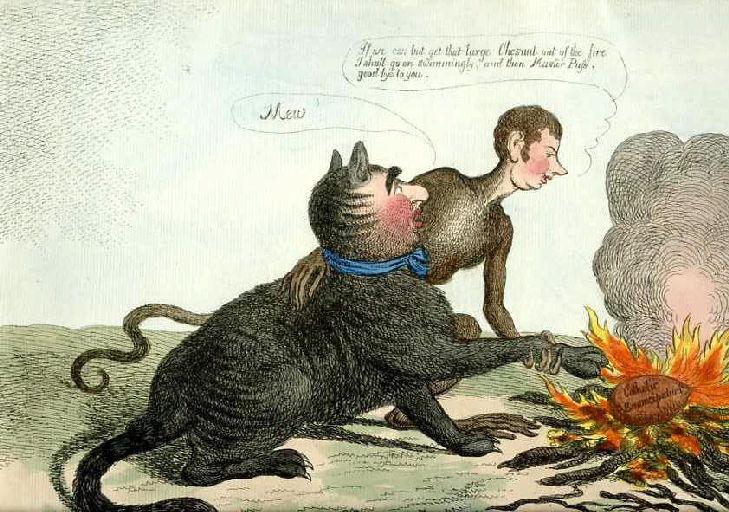 The Monkey and the Cats Paw a fable from Esop ; Le Singe et le Chat, IX, 17_1