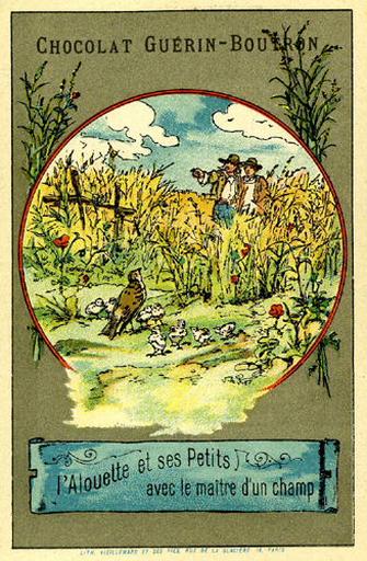 L'Alouette et ses Petits avec le Maître d'un Champ (Le texte de la fable est reproduit au revers)_0