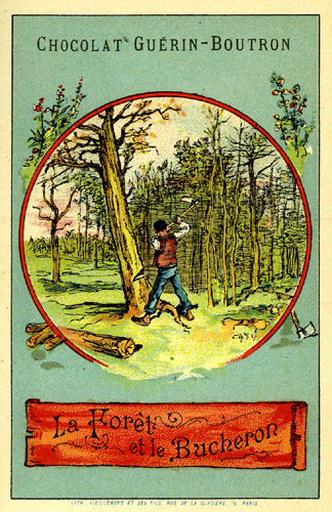 La Forêt et le Bûcheron, XII, 16 (Le texte de la fable est reproduit au revers)_0