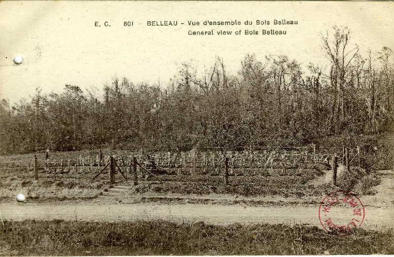 Belleau - Vue d'ensemble du Bois de Belleau_0