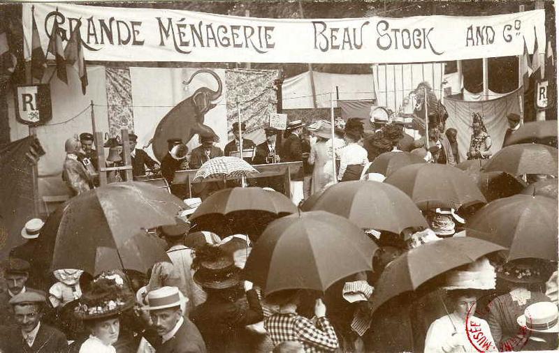 Grande Ménagerie Beau Stock and Co_0