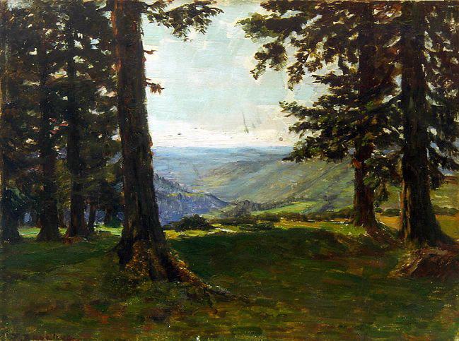 Dans les Vosges (titre inscrit)_0