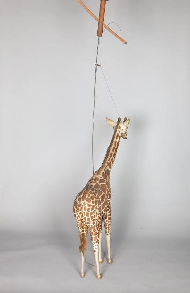 Girafe_1