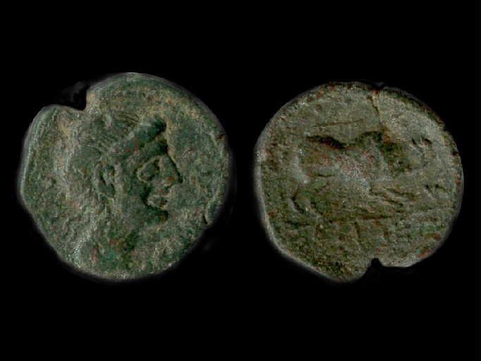 Pièce de monnaie de Gaule Narbonnaise_0