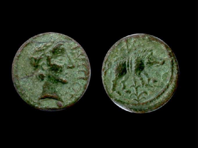 Pièce de monnaie Pictones_0