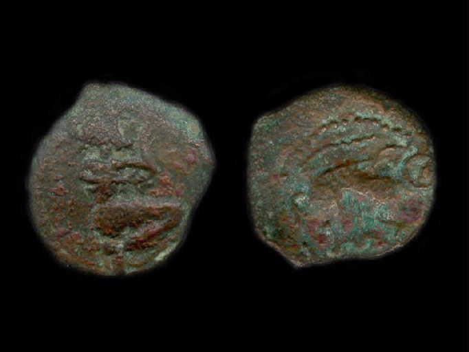 Pièce de monnaie Veliocasses_0