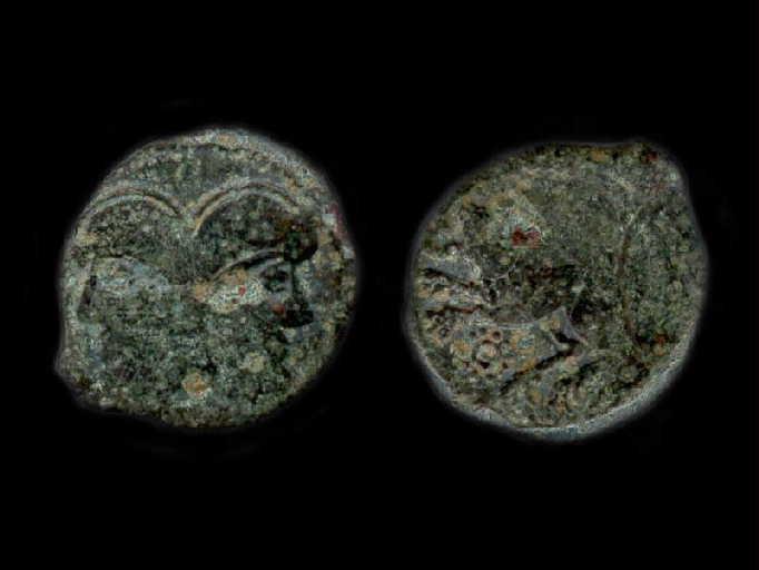 Pièce de monnaie Suessiones_0