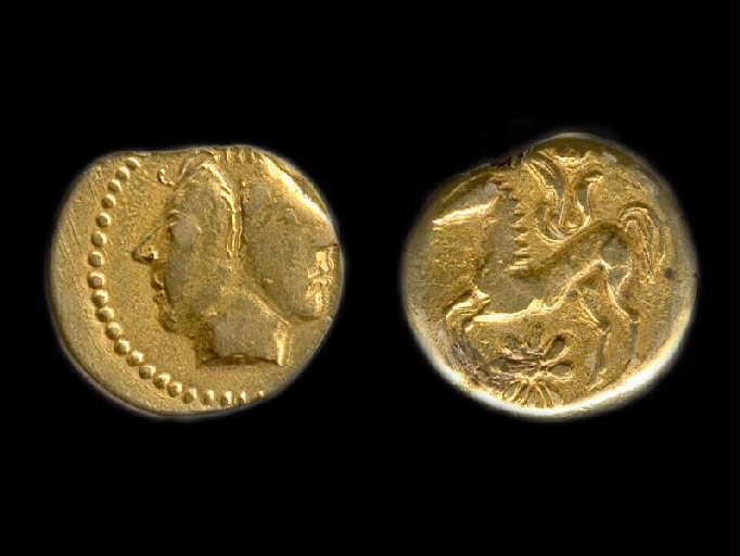 Hémistatère Mediomatrici_0