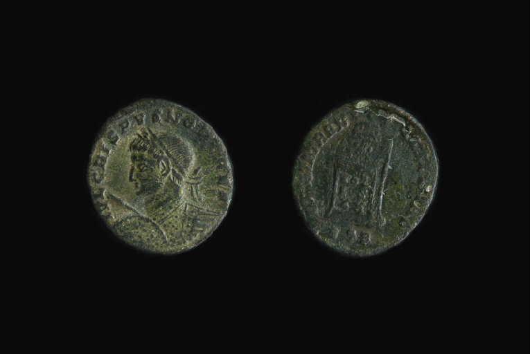 Centenionalis_0