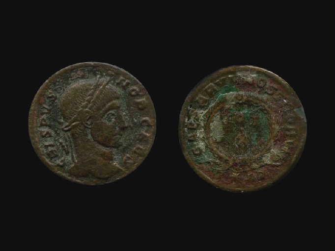 Centenionalis_0