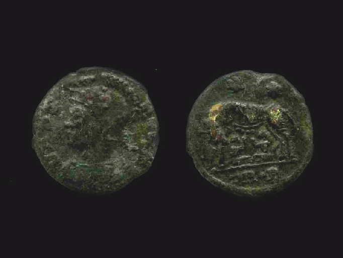 Centenionalis_0