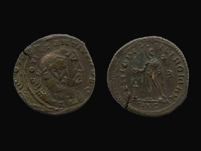 Follis_0