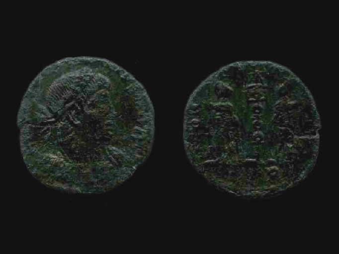 Centenionalis_0