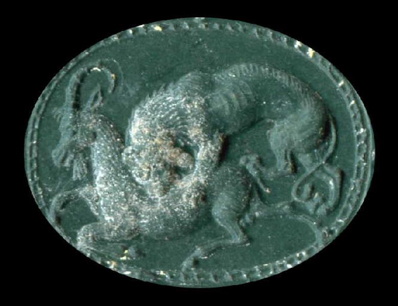 Lion attaquant une chèvre ou un bouquetin_0