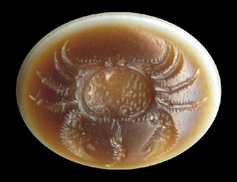 Crabe_0