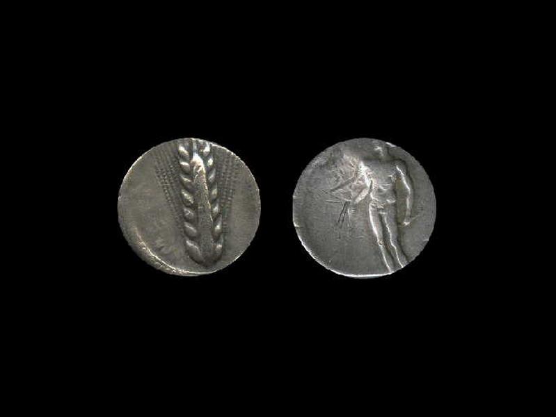 Didrachme de Metaponte_0
