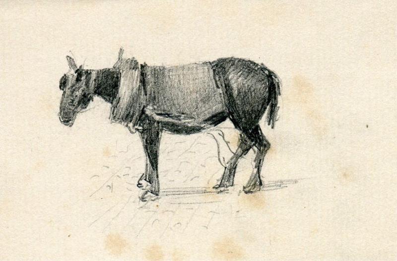Cheval_0