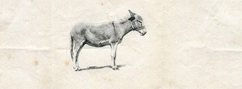 Ane, Félix Michel, 4e quart 19e siècle, 1er quart 20e siècle
