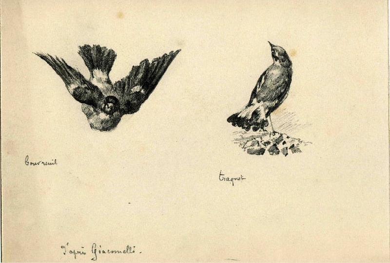 Bouvreuil et traquet_0