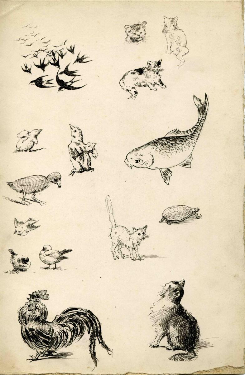Planche d'animaux_0