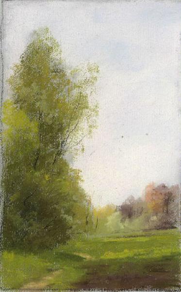 Paysage : Espace herbeux bordé d'arbres (titre factice), Félix Michel, 4e quart 19e siècle, 1er quart 20e siècle