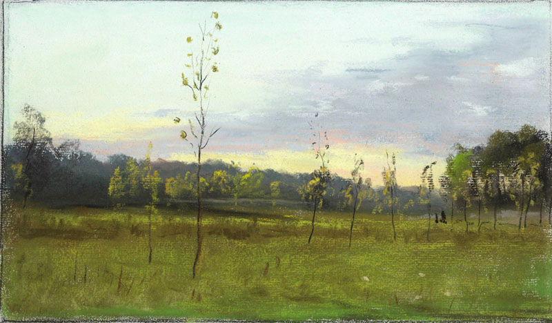 Paysage : Pâture plantée d'arbustes (titre factice), Félix Michel, 4e quart 19e siècle, 1er quart 20e siècle