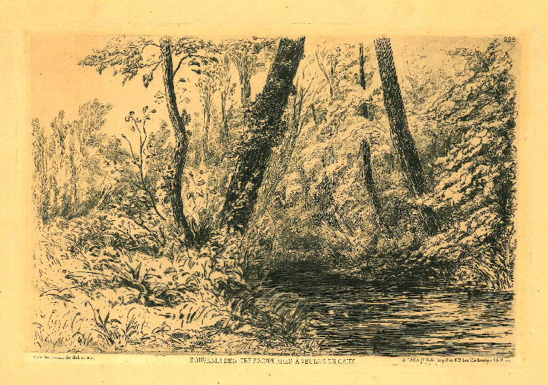 Souvenir des cressonnières à Veules en Caux, Charles Storm Van's Gravesande, 2e moitié 19e siècle