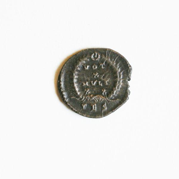 Monnaie, silique_1