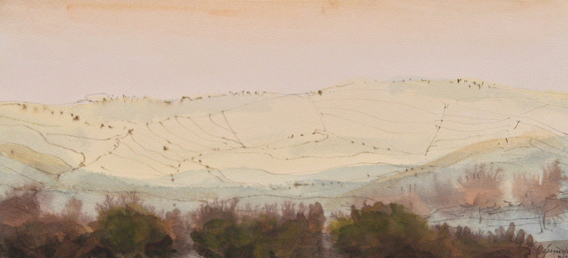 Crête jaune, Ferdinand Springer, 1981
