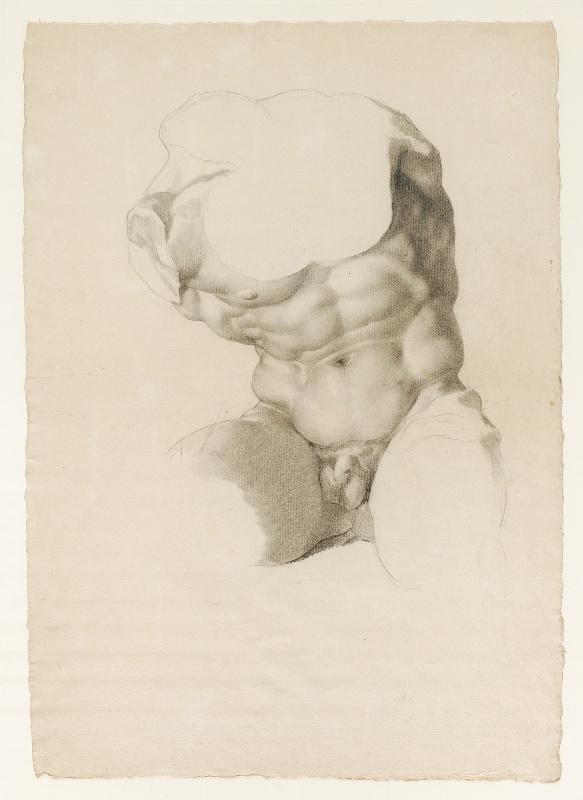 Torse du Belvédère_0