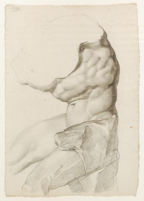 Torse du Belvédère_0